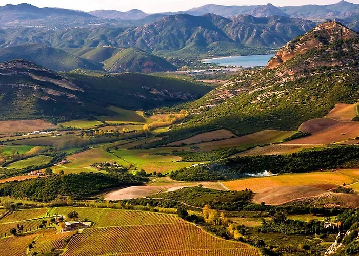 Domaine Ghjulia